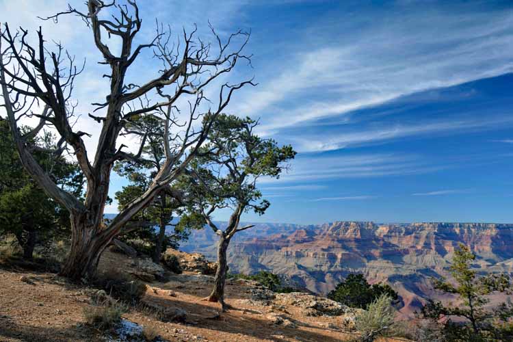 east rim desert view